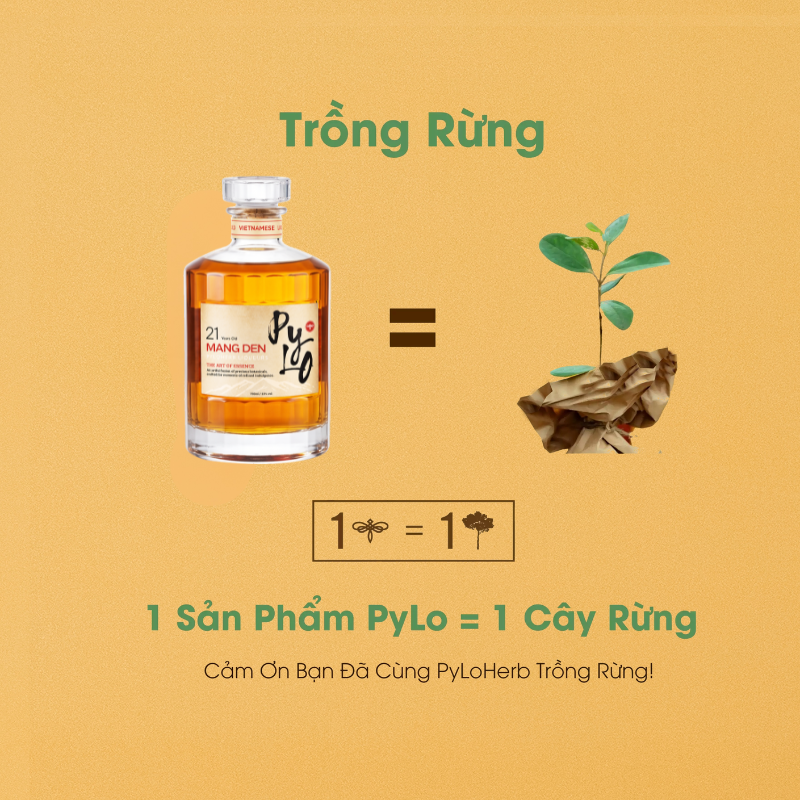 Rượu Thảo Mộc Măng Đen PyLo 21