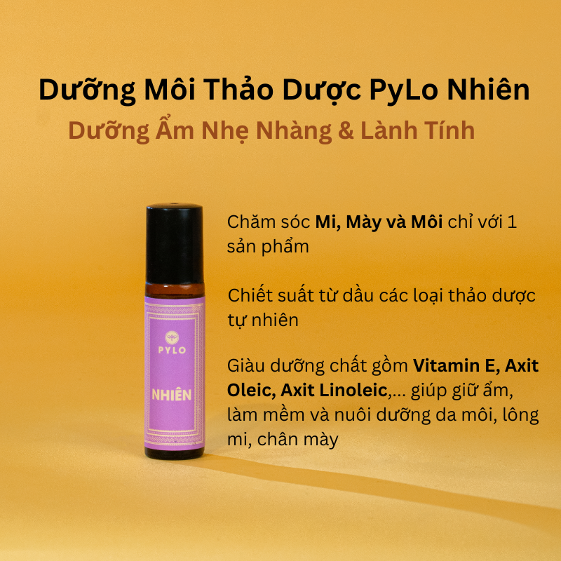 Chạm Vào An Yên