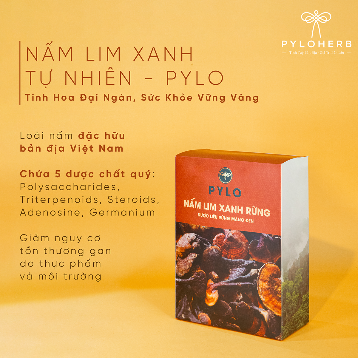 Combo Di Sản