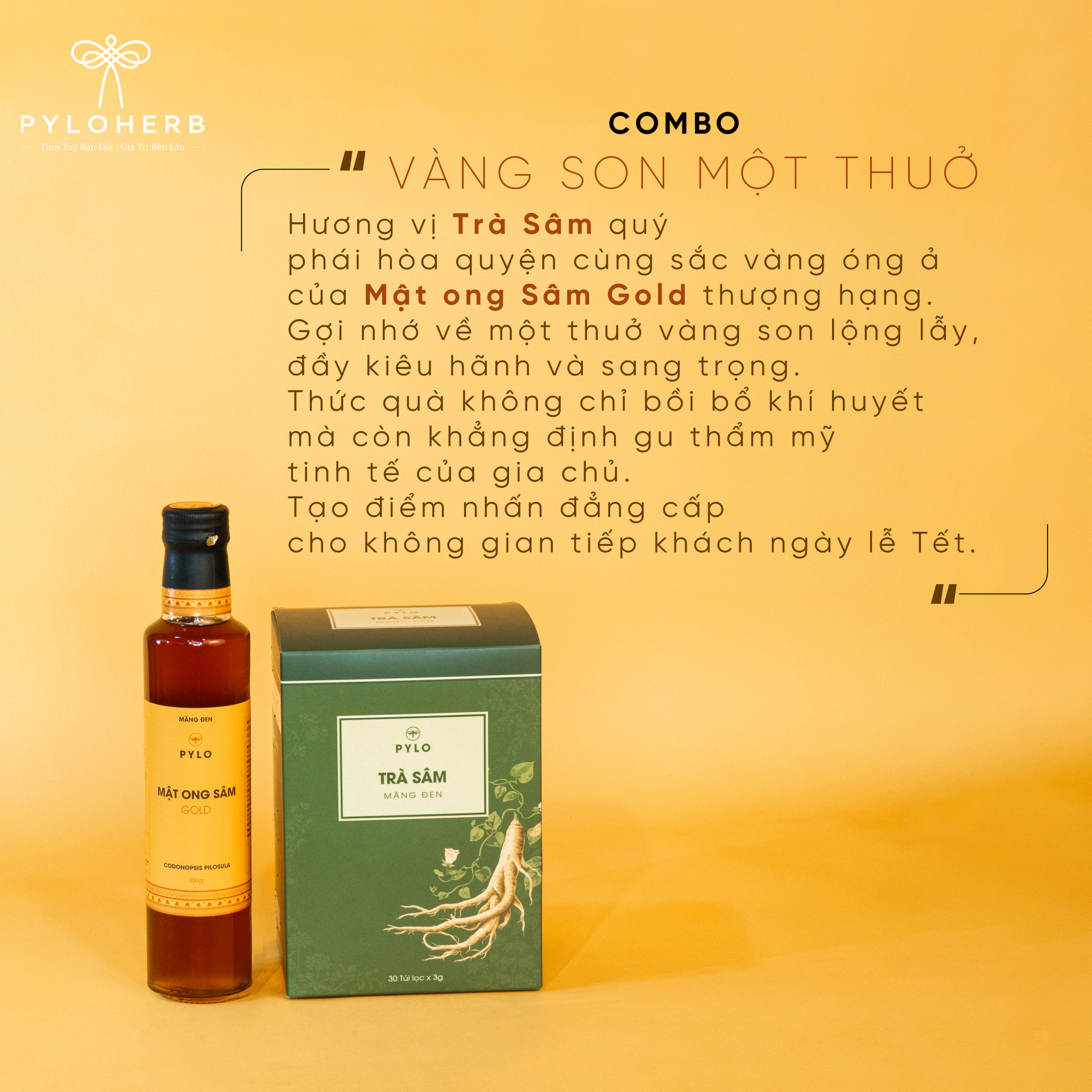 Combo Vàng Son Một Thuở