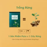 Trà Dược Liệu PyLo