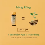 Nước Sâm Ngọc Linh PyLo
