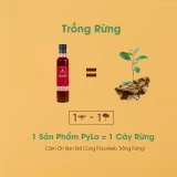 Syrup Mâm Xôi Rừng PyLo