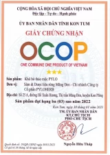 Khô Bò Thảo Mộc PyLo