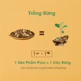 Dược Liệu Xông Cảm PyLo