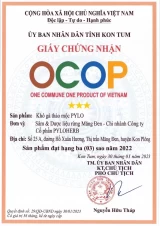Khô Gà Thảo Mộc PyLo