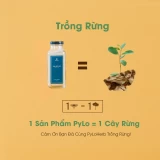 Tinh Bột Sâm PyLo