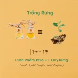 Tinh Dầu Treo PyLo - Sự Lựa Chọn Hoàn Hảo Cho Không Gian Sống