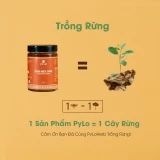Sâm Mật Ong PyLo