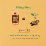 Rượu Thảo Mộc Măng Đen PyLo 25