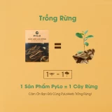 Nấm Linh Chi Tự Nhiên PyLo