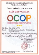 Giấm Táo Hữu Cơ PyLo