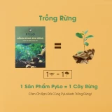 Hồng Đẳng Sâm PyLo (Sâm Dây Ngọc Linh)