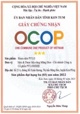 Rượu Thảo Mộc Măng Đen PyLo 25