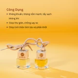 Tinh Dầu Treo PyLo - Sự Lựa Chọn Hoàn Hảo Cho Không Gian Sống