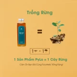 Mật Ong Thiên Nhiên PyLo