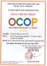 Trà Linh Chi PyLo