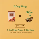 Trà Lim Xanh PyLo