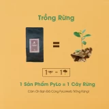 Cà Phê Sâm PyLo
