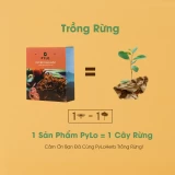 Khô Bò Thảo Mộc PyLo