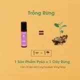 Dưỡng Môi Thảo Dược PyLo Nhiên