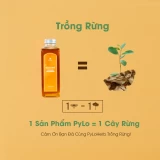 Mật Ong Thiên Nhiên Thượng Hạng PyLo