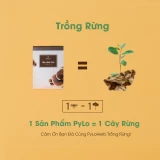 Trà Linh Chi PyLo