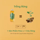 Giấm Táo Hữu Cơ PyLo