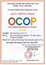 Nước Sâm Ngọc Linh PyLo