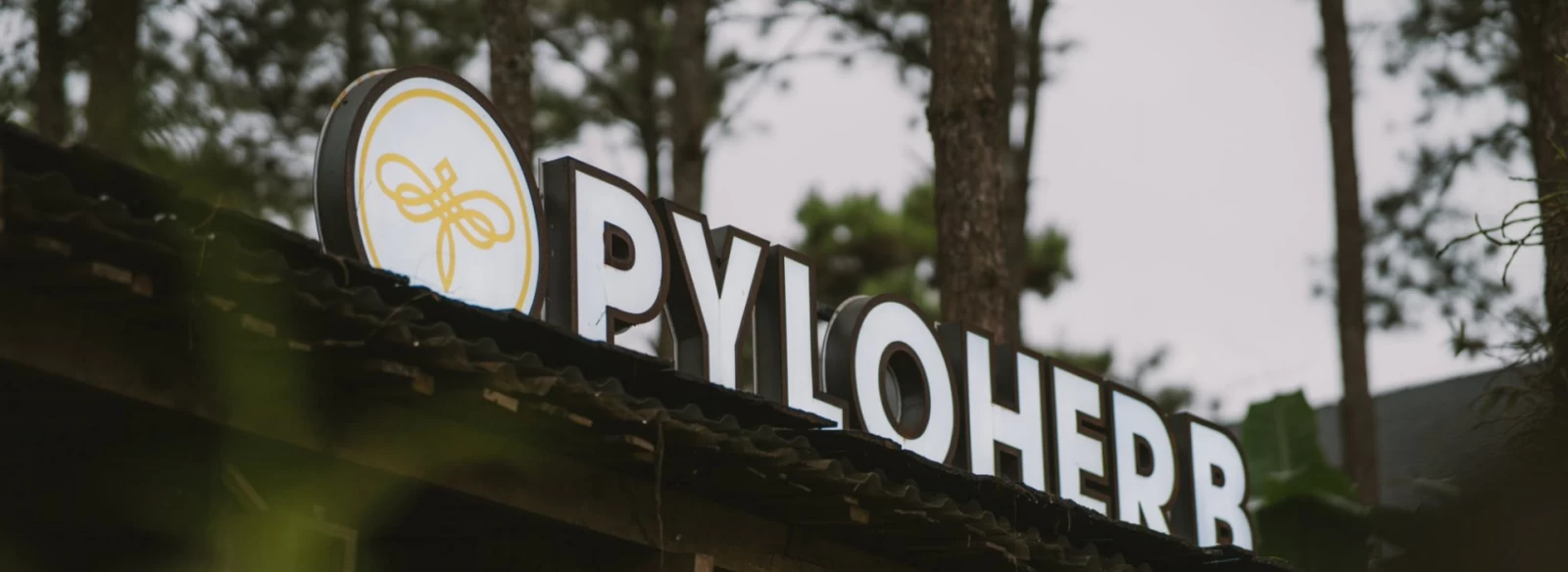 Góc nhìn PyLoHerb