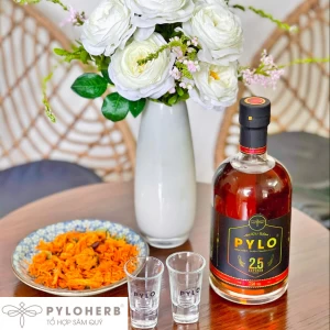 Có Nên Uống Rượu Sâm PyLo?