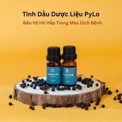 Tinh Dầu Dược Liệu PyLo