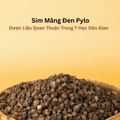 Sim Măng Đen Pylo
