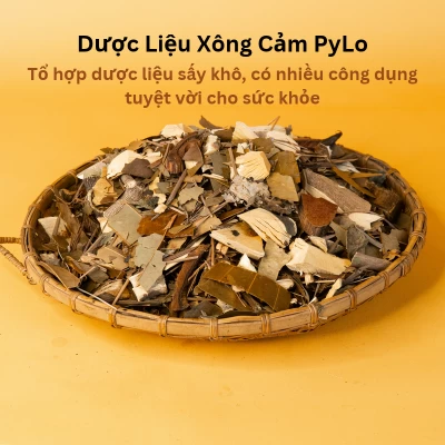 Dược Liệu Xông Cảm PyLo