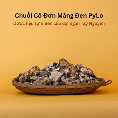 Chuối Cô Đơn Măng Đen PyLo