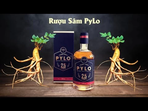 Bí Quyết Làm Nên Chai Rượu Sâm PyLo