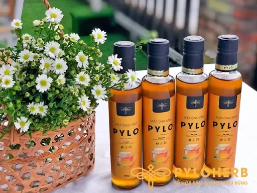 Chọn Quà Cho Sức Khỏe - Chọn PyLoHerb