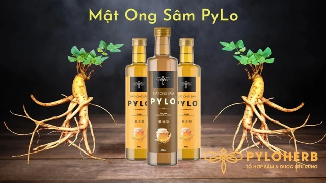 Chọn Quà Tết Biếu Bố Mẹ Vợ Thật Chuẩn - Chân Dung Chàng Rể Quốc Dân