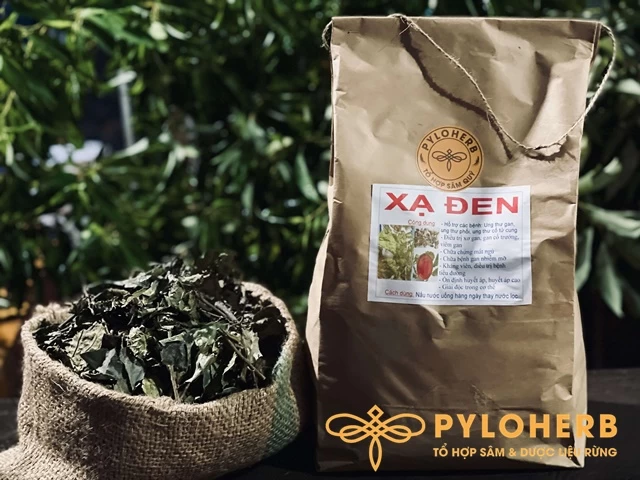 Điểm Mặt Những Loại Dược Liệu Rừng Tốt Nhất