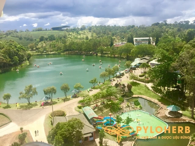 Du Lịch Măng Đen Có Gì?