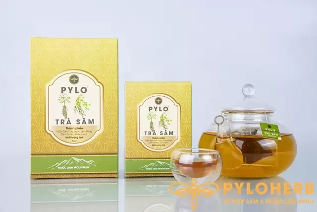 Trà Sâm PyLo Túi Lọc - Đưa Thảo Dược Tự Nhiên Đến Gần Hơn Với Nhịp Sống Mới
