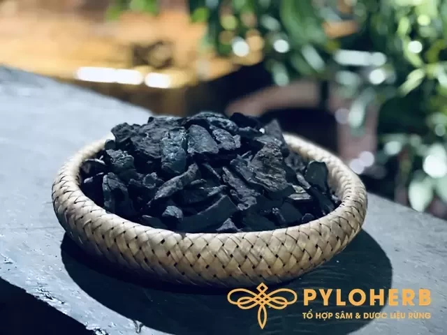 Hà Thủ Ô Đậu Đen: Bí quyết phục hồi tóc sau mùa Tết 