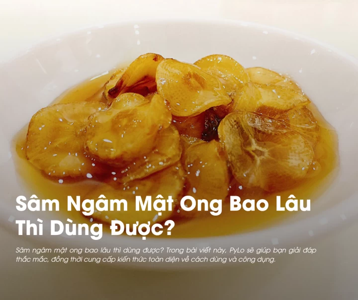 Sâm Ngâm Mật Ong Bao Lâu Thì Dùng Được? 