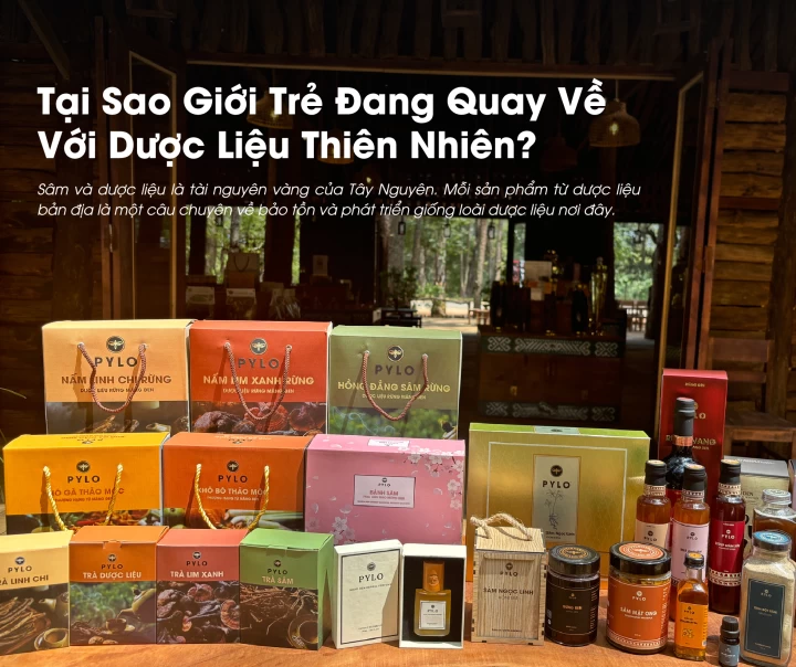 Tại Sao Giới Trẻ Đang Quay Về Với Dược Liệu Thiên Nhiên?
