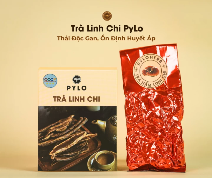 Trà Linh Chi PyLo - Thải Độc Gan Và Ổn Định Huyết Áp