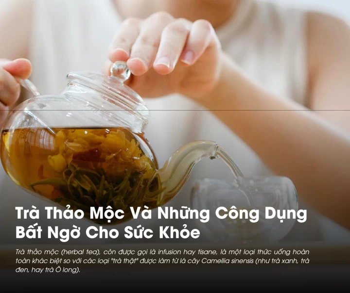 Trà Thảo Mộc Và Những Công Dụng Bất Ngờ Cho Sức Khỏe 