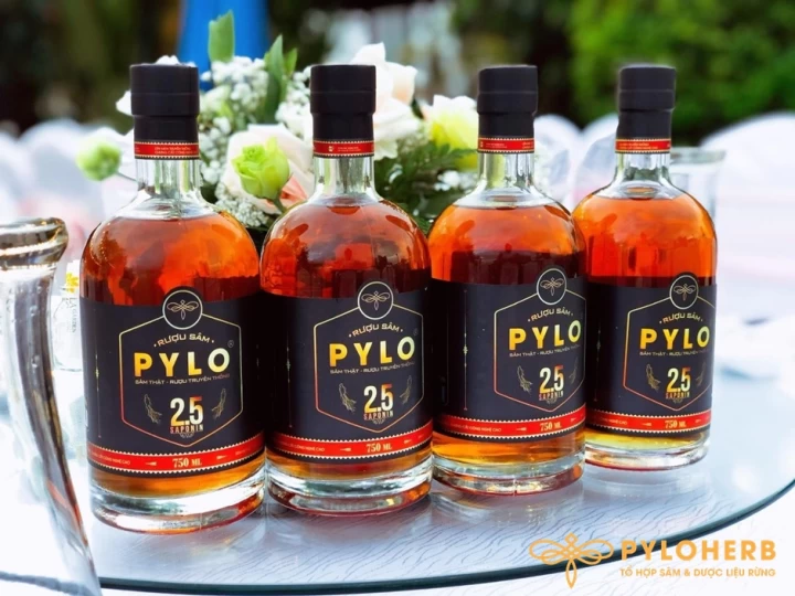Rượu Sâm PyLo Có Gì Đặc Biệt?