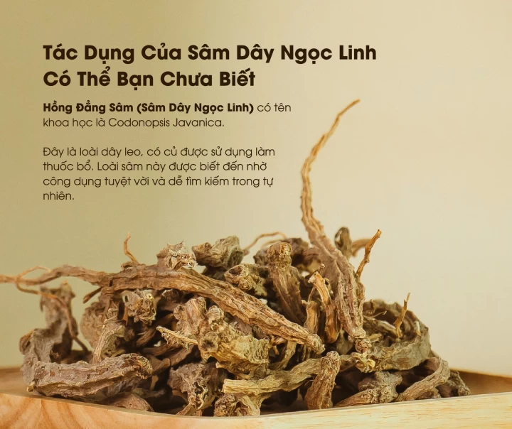 Tác Dụng Của Sâm Dây Ngọc Linh Có Thể Bạn Chưa Biết 