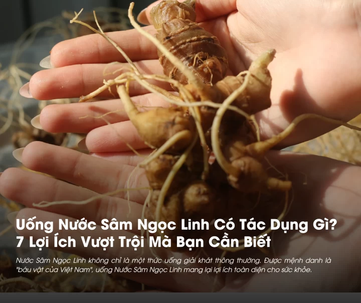 Uống Nước Sâm Ngọc Linh Có Tác Dụng Gì? 7 Lợi Ích Vượt Trội Mà Bạn Cần Biết 