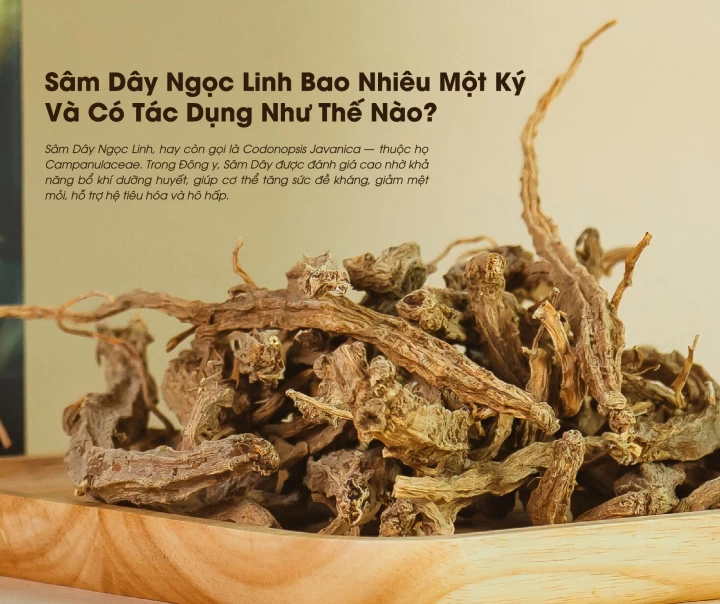 Sâm Dây Ngọc Linh Bao Nhiêu Một Ký Và Có Tác Dụng Như Thế Nào? 